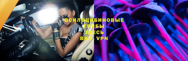 spice Ладушкин