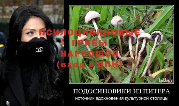 сатива Лагань