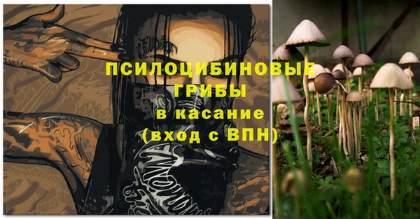 сатива Лагань