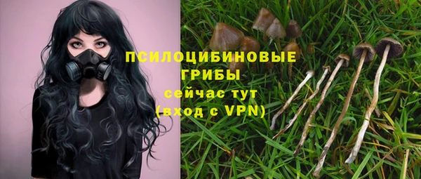 сатива Лагань