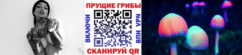 Псилоцибиновые грибы Psilocybine cubensis  Купить где  Пикалёво 